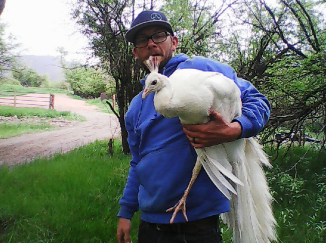 Photo - Billy With a Giant Bird
