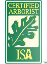 ISA Certified ArboristÂ®