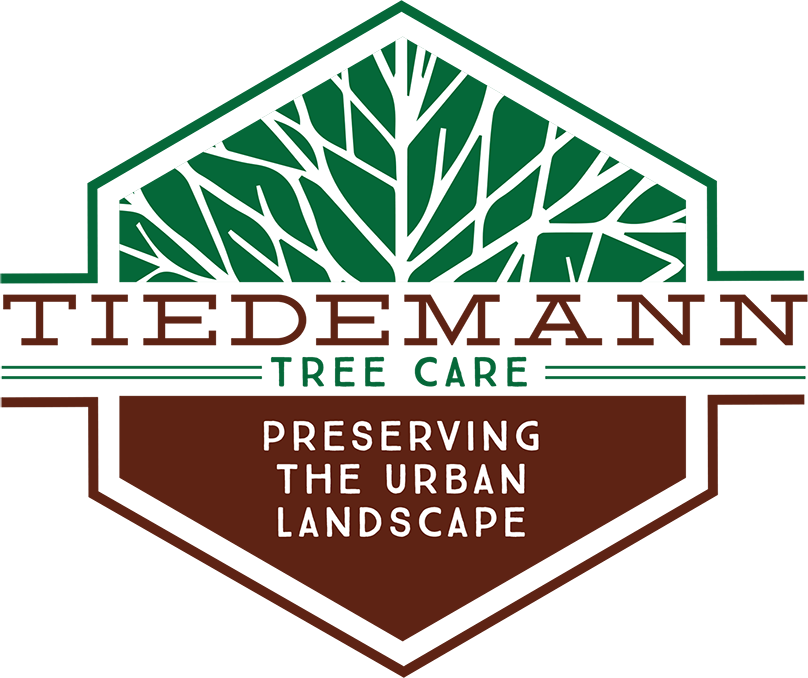 Tiedemann Tree Care - Preserving the Urban Landscape